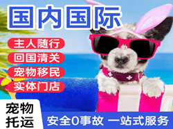 博鳌机场快运国际宠物托运 【国